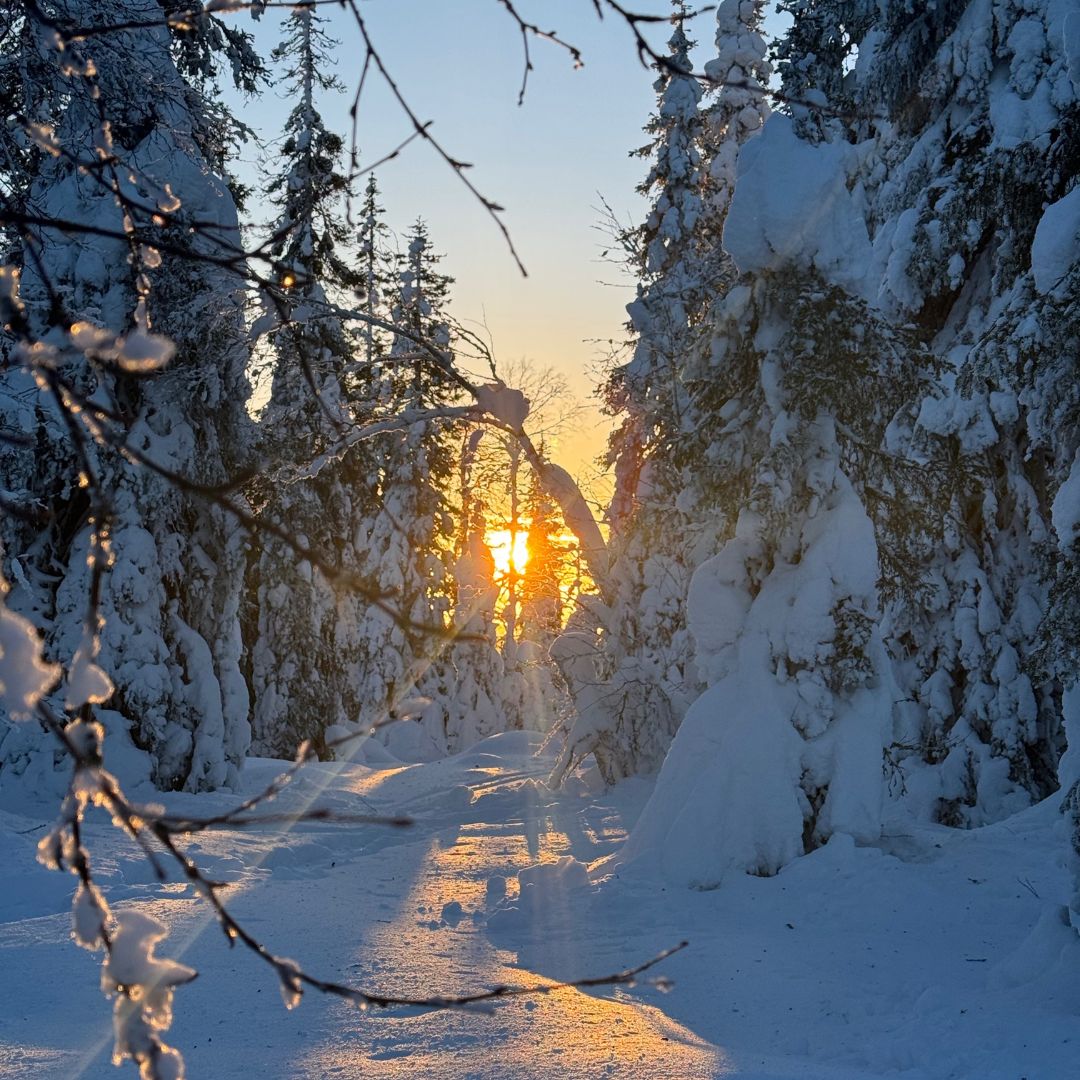 Pianificazione viaggio paesaggio innevato