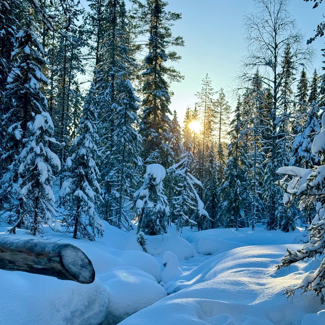 Pianificazione viaggio paesaggio innevato